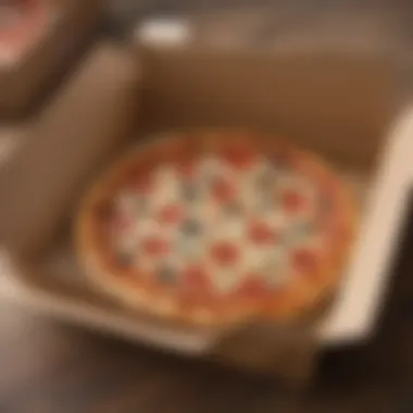 Pizza Delivery Box