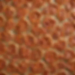 Rocksheat pizza stone showcasing its surface texture and durability