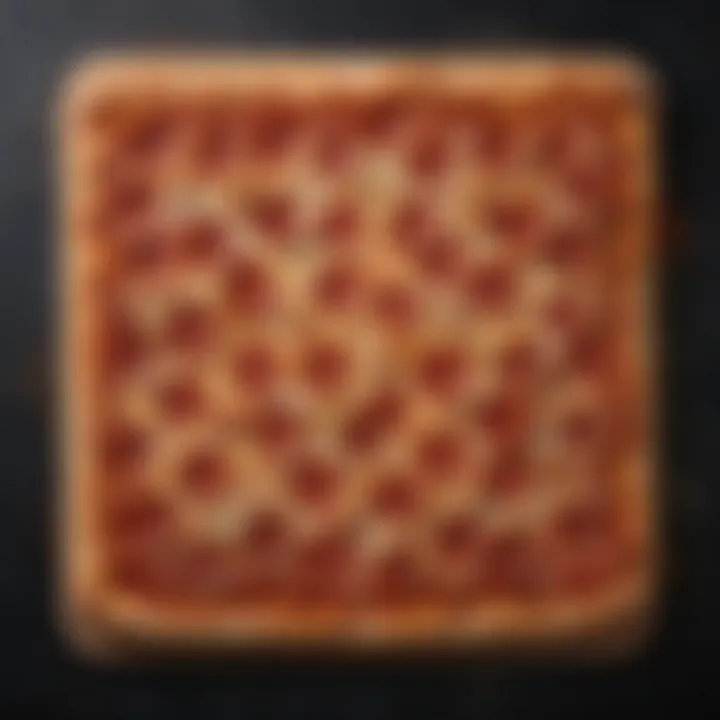 A traditional St. Louis pizza served in a distinctive rectangular shape