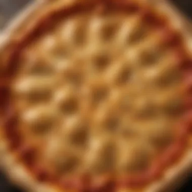 Perfectly Baked Pizza Crust Golden-brown crust showcasing texture and color