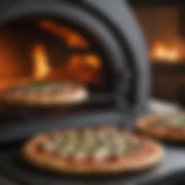 Premium Oven Smoker Combo Detail of a premium pizza oven smoker combo