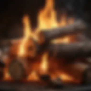 The Essence of Wood-Fired Flames Close-up of wood logs ignited, demonstrating the flames and smoke integral to wood-fired cooking.