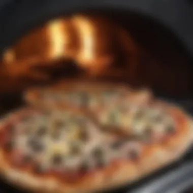 Gourmet Pizzas from the Oven A selection of gourmet pizzas cooked in a pizza oven, highlighting diverse toppings.