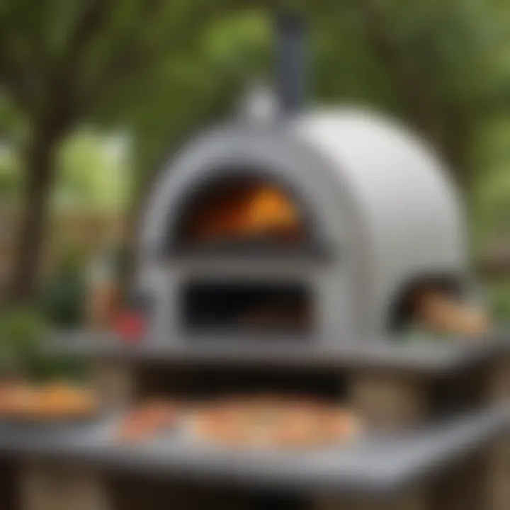 Exploring the Ooni 3 Wood Fired Pizza Oven: A Comprehensive Guide Introduction