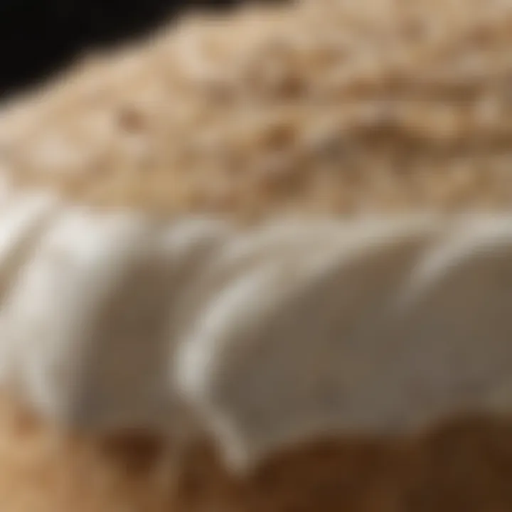 A close-up of the sourdough starter, highlighting its texture and bubbles.