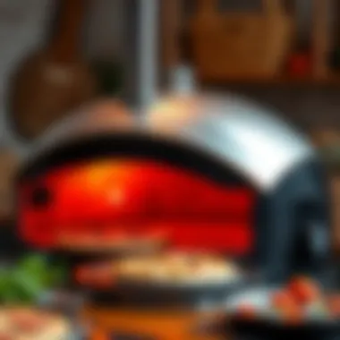 Stylish Pizza Oven Design A stylish pizza oven showcasing its sleek design.