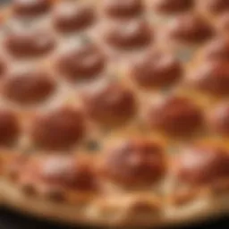 Detailed view of the small pizza steel showcasing its surface texture