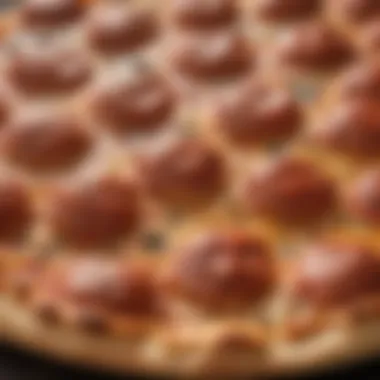 Surface Texture of Small Pizza Steel Detailed view of the small pizza steel showcasing its surface texture