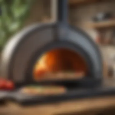 Exploring the Versatility of the 3 in 1 Pizza Oven Summary