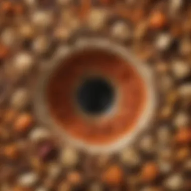 Nutritional Profile of Hole Foods A close-up of nutrient-rich hole food ingredients