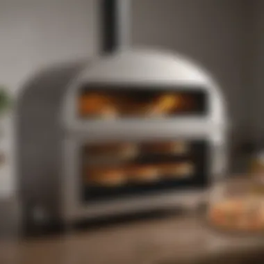 Variety of propane pizza ovens for sale