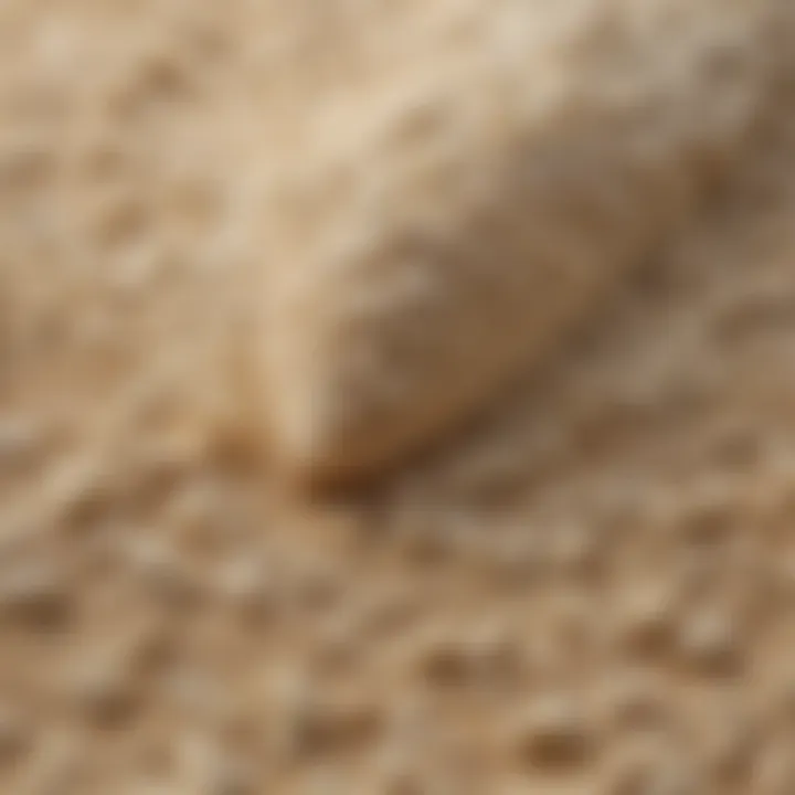 A close-up view of tipo flour showcasing its fine texture and grain.