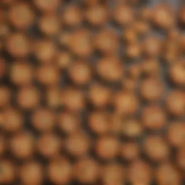 Diverse Materials and Designs of Pizza Trays A collection of Amazon pizza trays showcasing various materials and designs