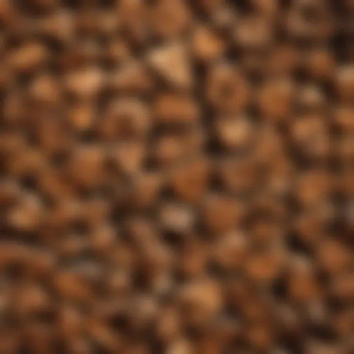 A selection of wood types suitable for use in a wood fired oven.