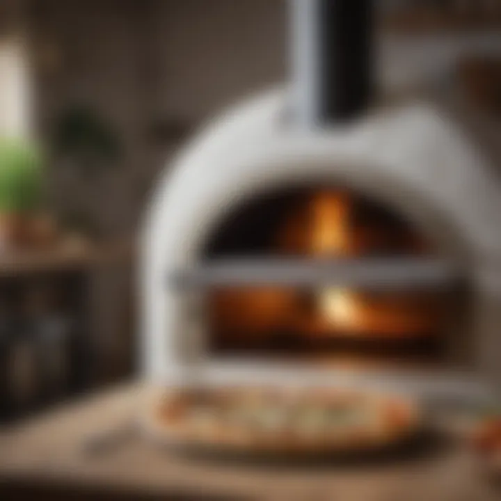 Artisan Pizza Oven at Ooni Shop