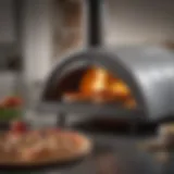 Exquisite Ooni Pizza Oven Design