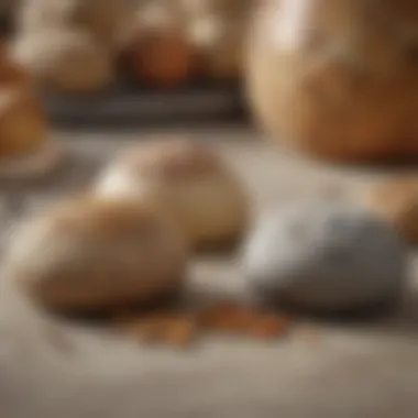 Comparison of Fibrament with Other Baking Stones Comparison of Fibrament stone with competitor stones