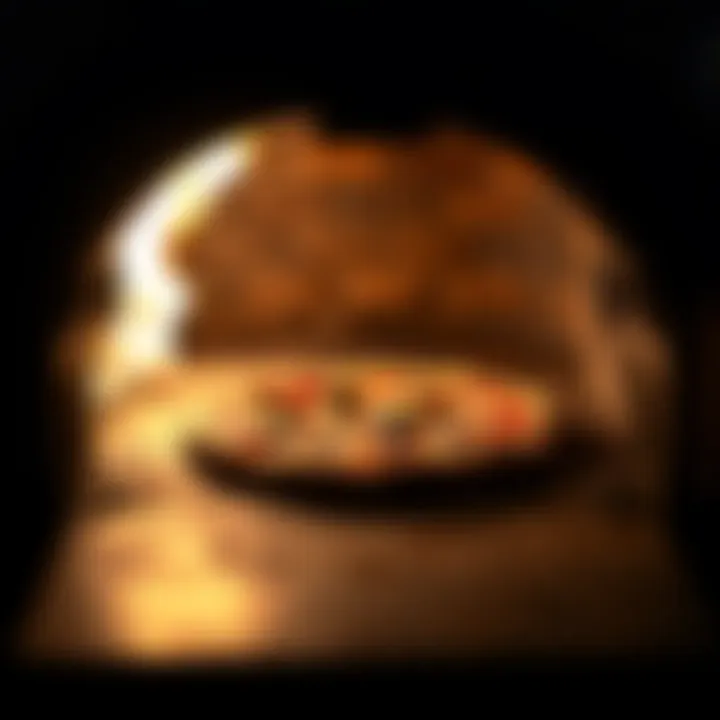 Perfectly baked pizza emerging from a Forno Bravo oven demonstrating its pizza-making prowess