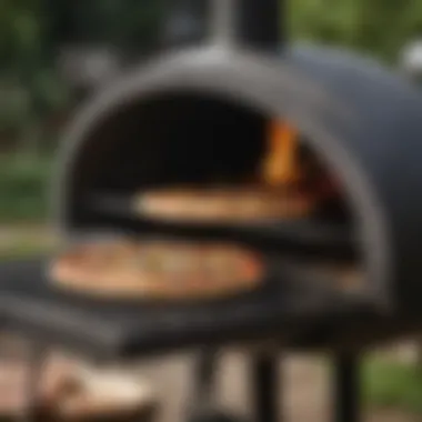 Gourmet Pizza Cooking on Weber Gas Grill