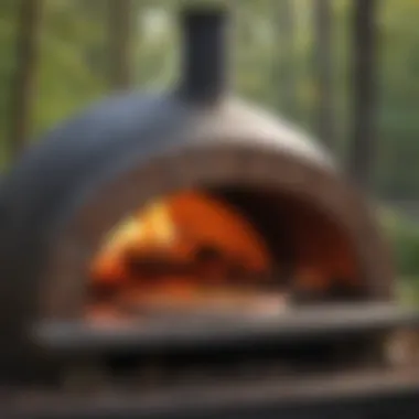 Gourmet Wood-Fired Pizza Oven Creation