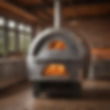 Sleek Design of Guy Fieri Pizza Oven A stunning image of a Guy Fieri pizza oven showcasing its sleek design and vibrant aesthetics