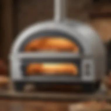 Technical Specifications of Guy Fieri Pizza Oven A close-up view of the technical specifications displayed on a Guy Fieri pizza oven
