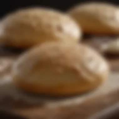 Carefully Selected Yeast Strains for Perfect Dough Handpicked Yeast