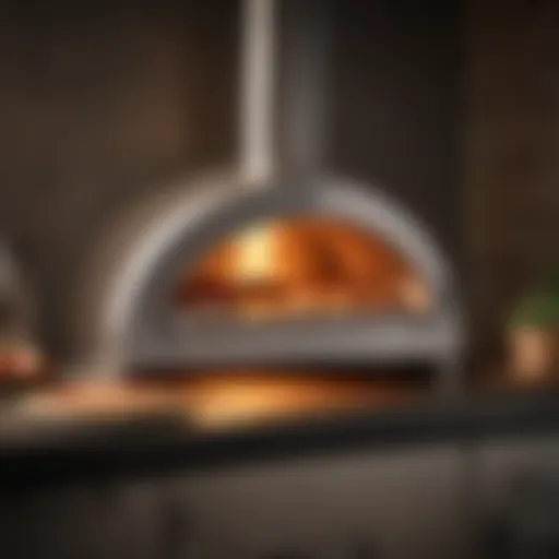 A modern pizza oven showcasing sleek design and advanced technology