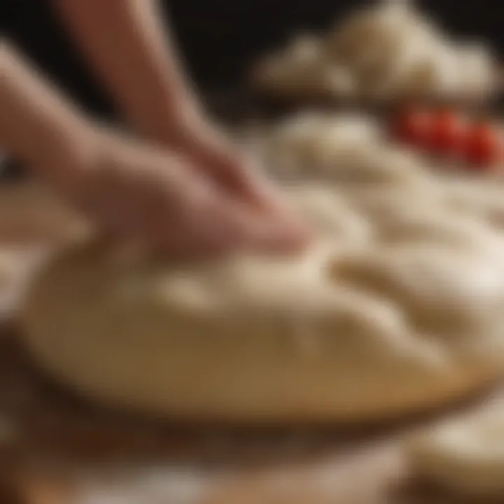 Freshly kneaded pizza dough ready for rising