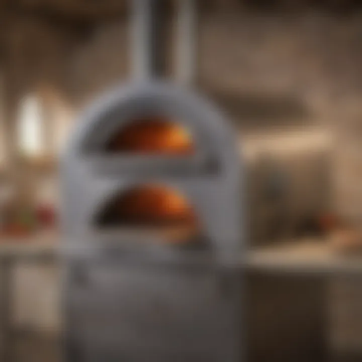 Industrial Pizza Oven