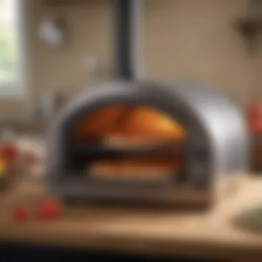 Innovative Countertop Pizza Oven