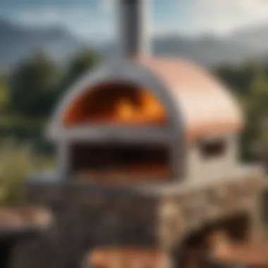 Innovative Features of Ooni Pizza Oven Innovative Features of Ooni Pizza Oven