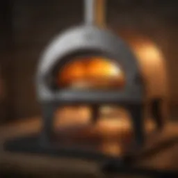 Innovative Gas Pizza Oven