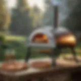 Innovative Outdoor Pizza Oven Stand