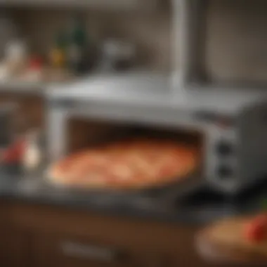 Durable cover for Cuisinart pizza oven