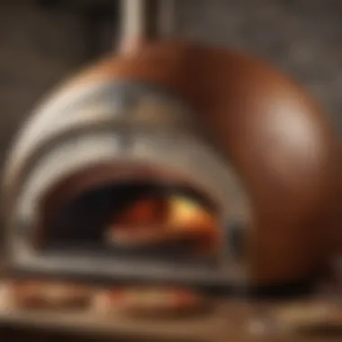 Luxurious and high-performance pizza oven