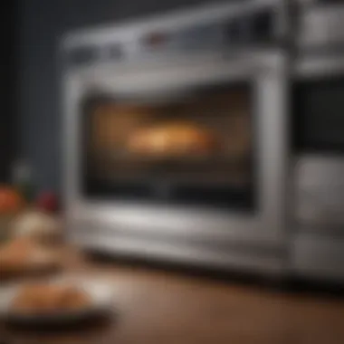 Luxurious Oven Brand with Advanced Technology