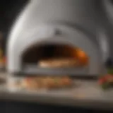 A close-up view of the Magic Chef Pizza Oven showcasing its sleek design