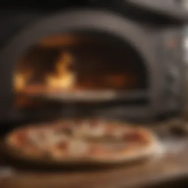 Gourmet pizza slice being heated in microwave