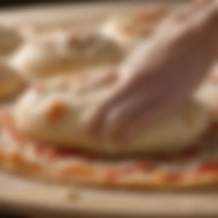 A close-up view of freshly kneaded pizza dough