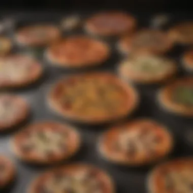 Diverse Pizza Pan Materials Variety of pizza pans showcasing different materials