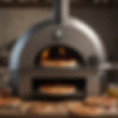 Comparison of various pizza oven models