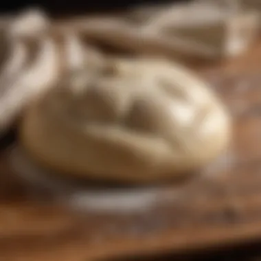 A freshly kneaded ball of pizza dough resting on a wooden surface, showcasing its smooth texture.