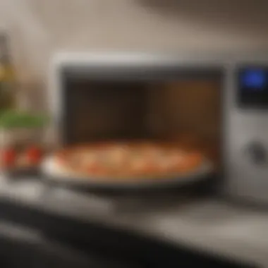 Microwave setting showcasing the pizza on a microwave-safe plate.