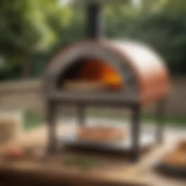 Sleek Innovation for Culinary Delights Modern Mini Pizza Oven