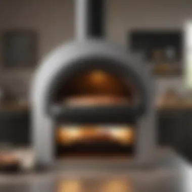 Modern standalone pizza oven showcasing sleek aesthetics