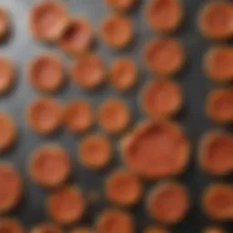 Nonstick Pizza Pan with Perforations