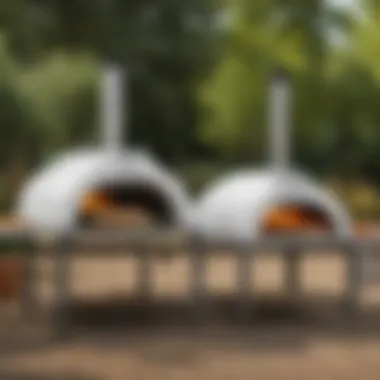 An array of Ooni pizza oven models displayed side by side for comparison.