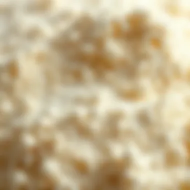 Close-up of flour granules demonstrating different protein contents.