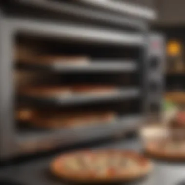 Comparing Various Ovens for Pizza Baking Different oven types for pizza baking